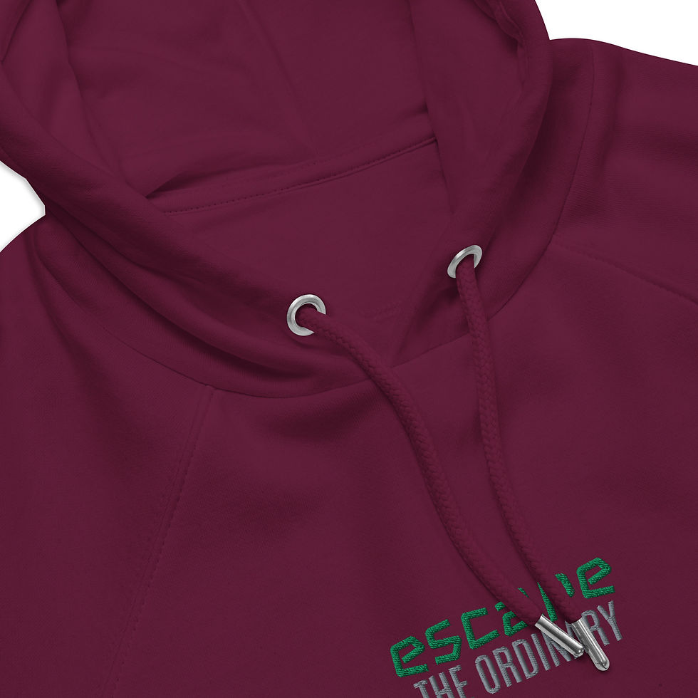 Thumbnail: Unisex eco raglan hoodie