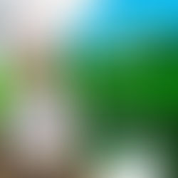 Gerência do DISTAR, realizada reunião virtual com seus produtores.