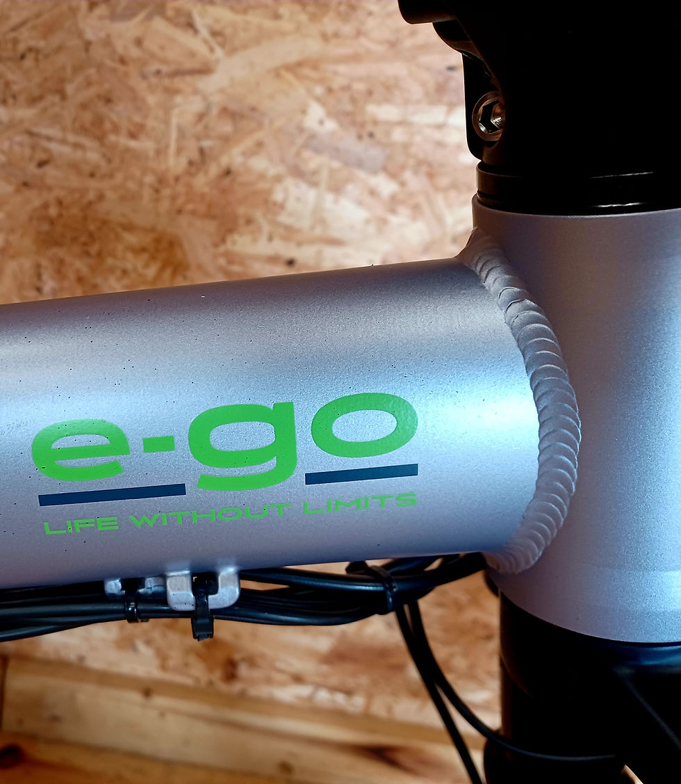 Thumbnail: Ego Fat Tyre Folding Bike Full Suspension