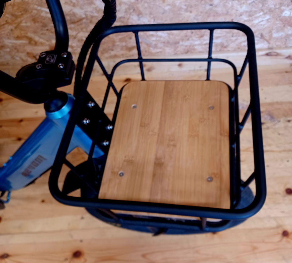 Thumbnail: Revom T1 electric Trike
