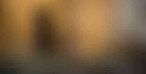 Canterbury Cathedral11