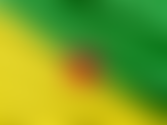 A New Chapter of Inclusion: French Guiana Formally Joins the CARICOM Family