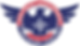 Phoenix Training -Live Online Webinar-Addiction & Connection to Treatment (1)