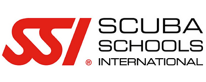 SSI LOGO
