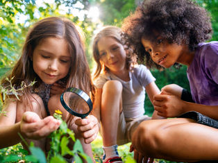 Ensino Naturalístico