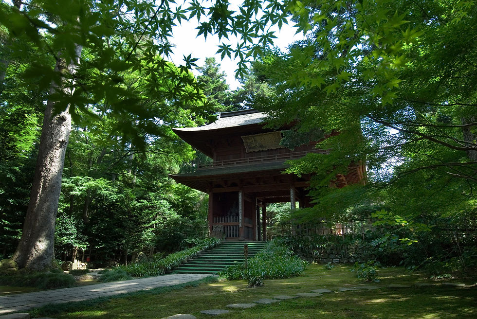 Wooden Japanese temple gate with green steps nestled among lush maple trees in a शांत forest garden.