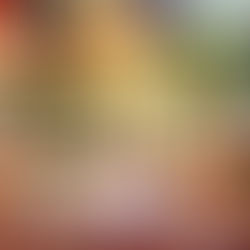 The Ultimate Guide to Vegetarian Food in Kanazawa