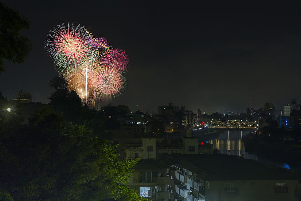 Colorful fireworks burst over a dark city skyline and river, with a lit bridge and reflections below at night.