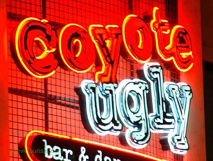 Coyote_Ugly-min.jpg