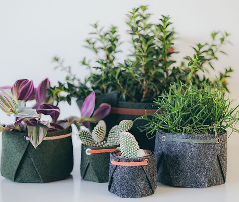 foto banner_produtos-Thays Bittar_reto_e