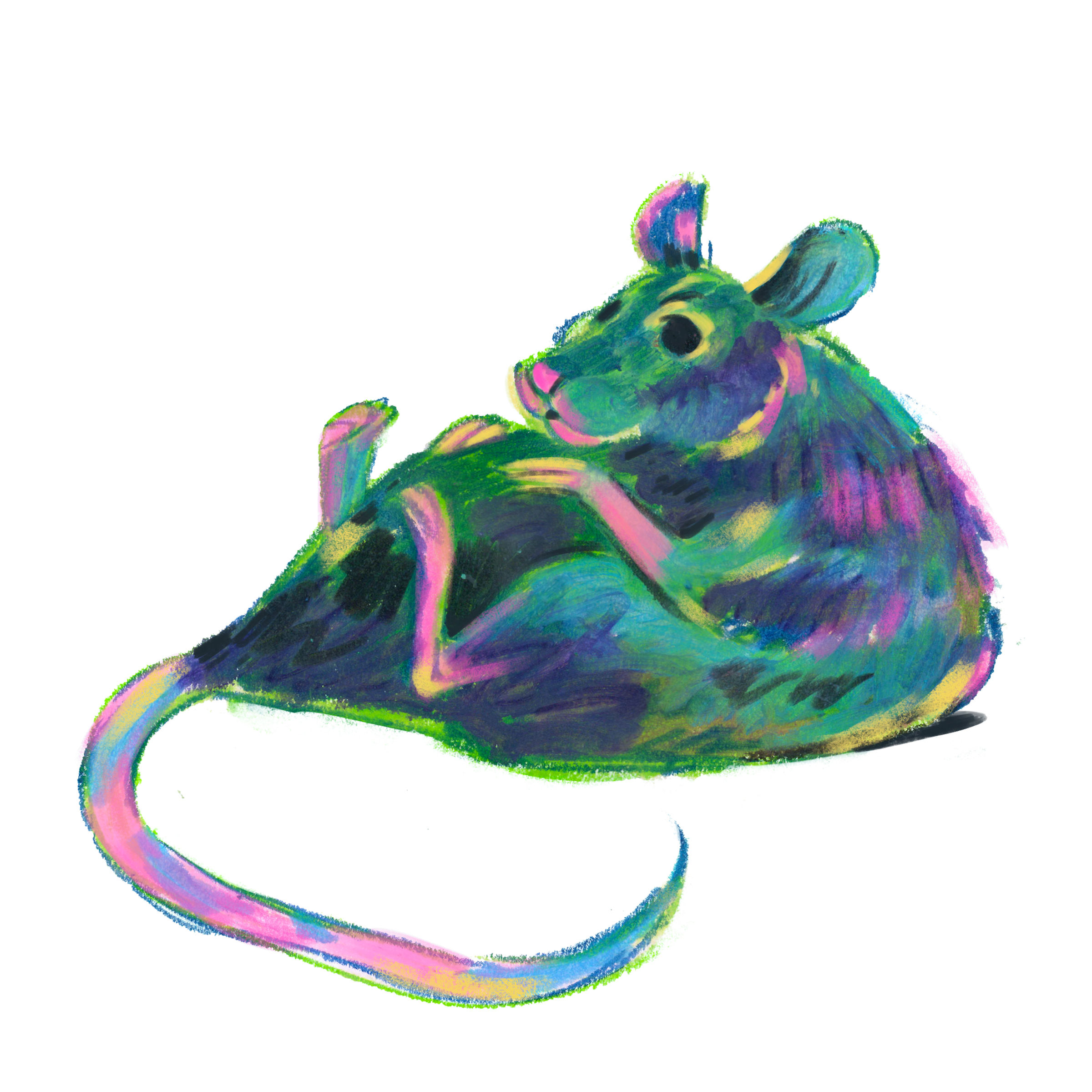 Tiny