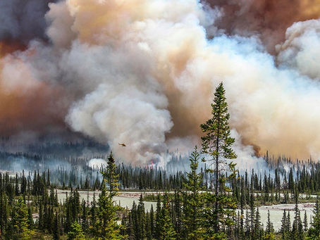 Loopholes in Environmental Law