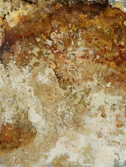 Roma Tryptych