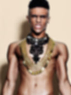 Gilded Man