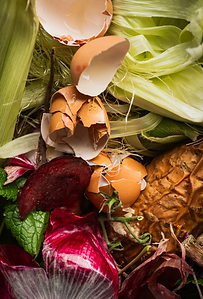 Food Waste