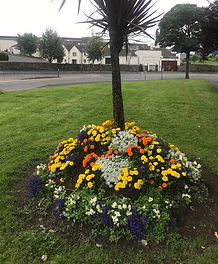 Flowers Fortfield Castlebar