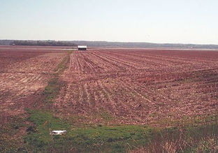 Dixon Waterfowl Refuge Before Restoration