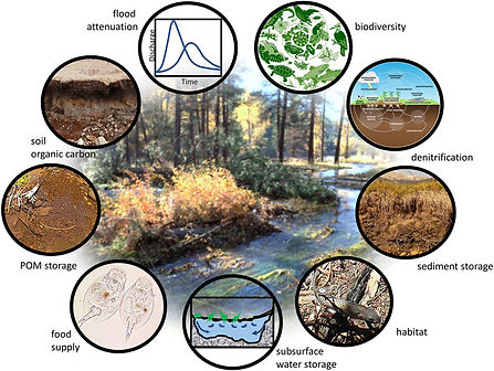 River Functions Associated with Wetlands