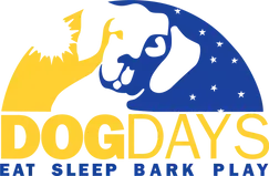 Dog Days.webp
