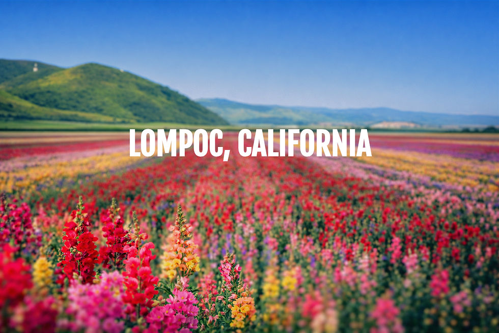 roofing contractor Lompoc CA — Roofing Concepts Pro