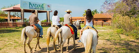 foto-destaque-hotel-pantanal.jpg