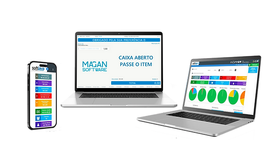 sistema web