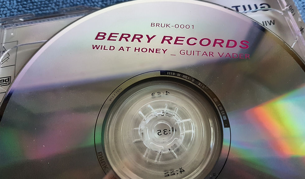 Guitar Vader Wild At Honey Album CD