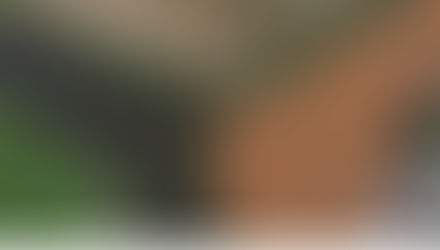 Mineradora quer implantar Sistema de Flotação para remover lama de rejeitos