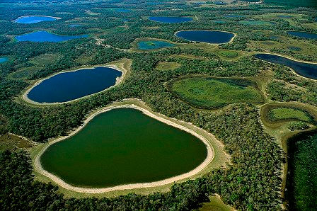 ONG brasileira alerta sobre riscos apresentados ao Pantanal