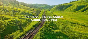 Imagem que representa o rca e pca
