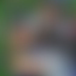 Terminologie des agents libres de la NFL