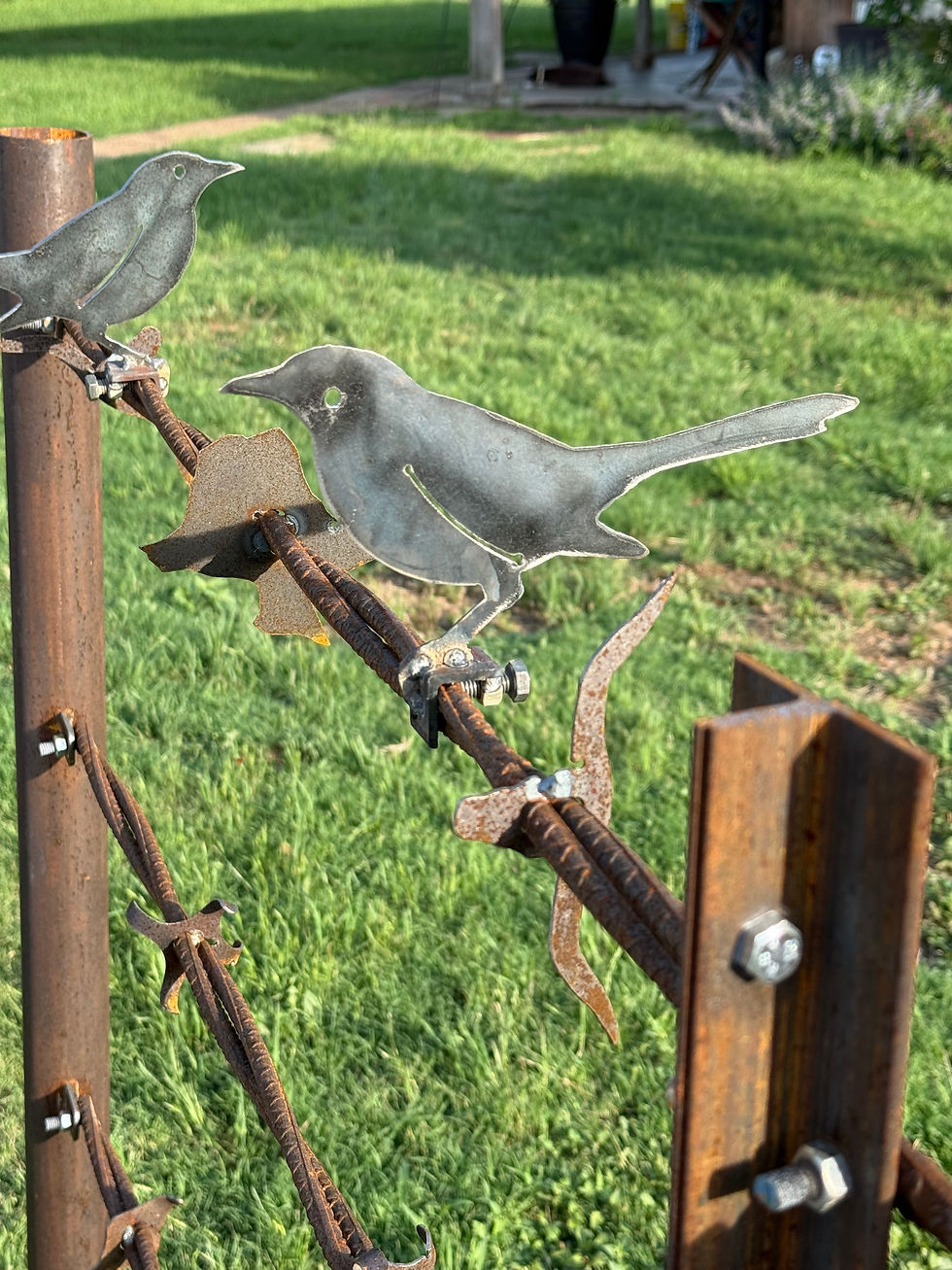 Thumbnail: Accents, birds