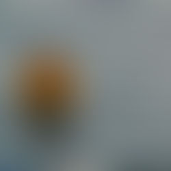 STREAMLINING DISASTER RECOVERY