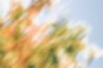b8cb09a1c0e9133059d42bb154eba4eb_edited.jpg