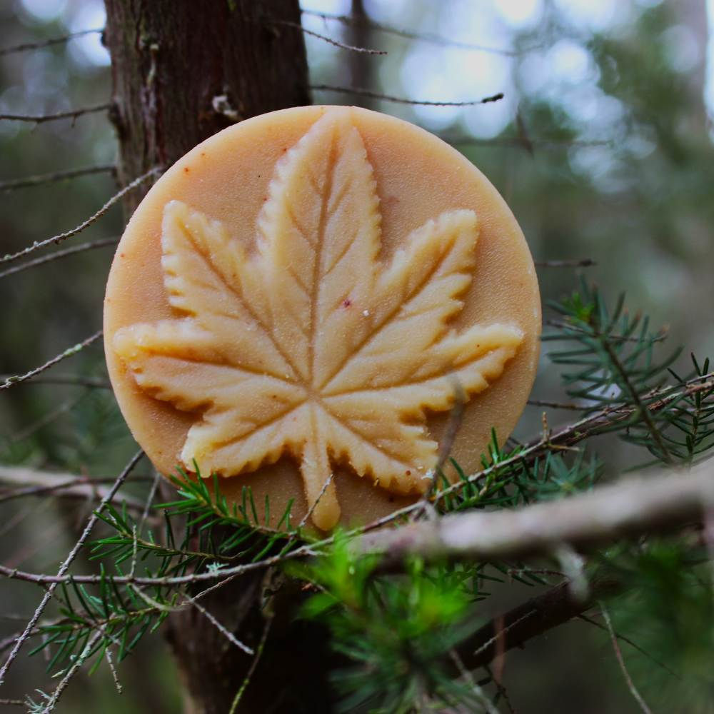 Jabon de CBD con Curcuma, Naranja y Canela