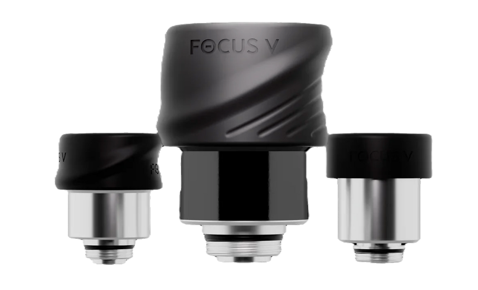 Miniatura: Focus V Carta Sport