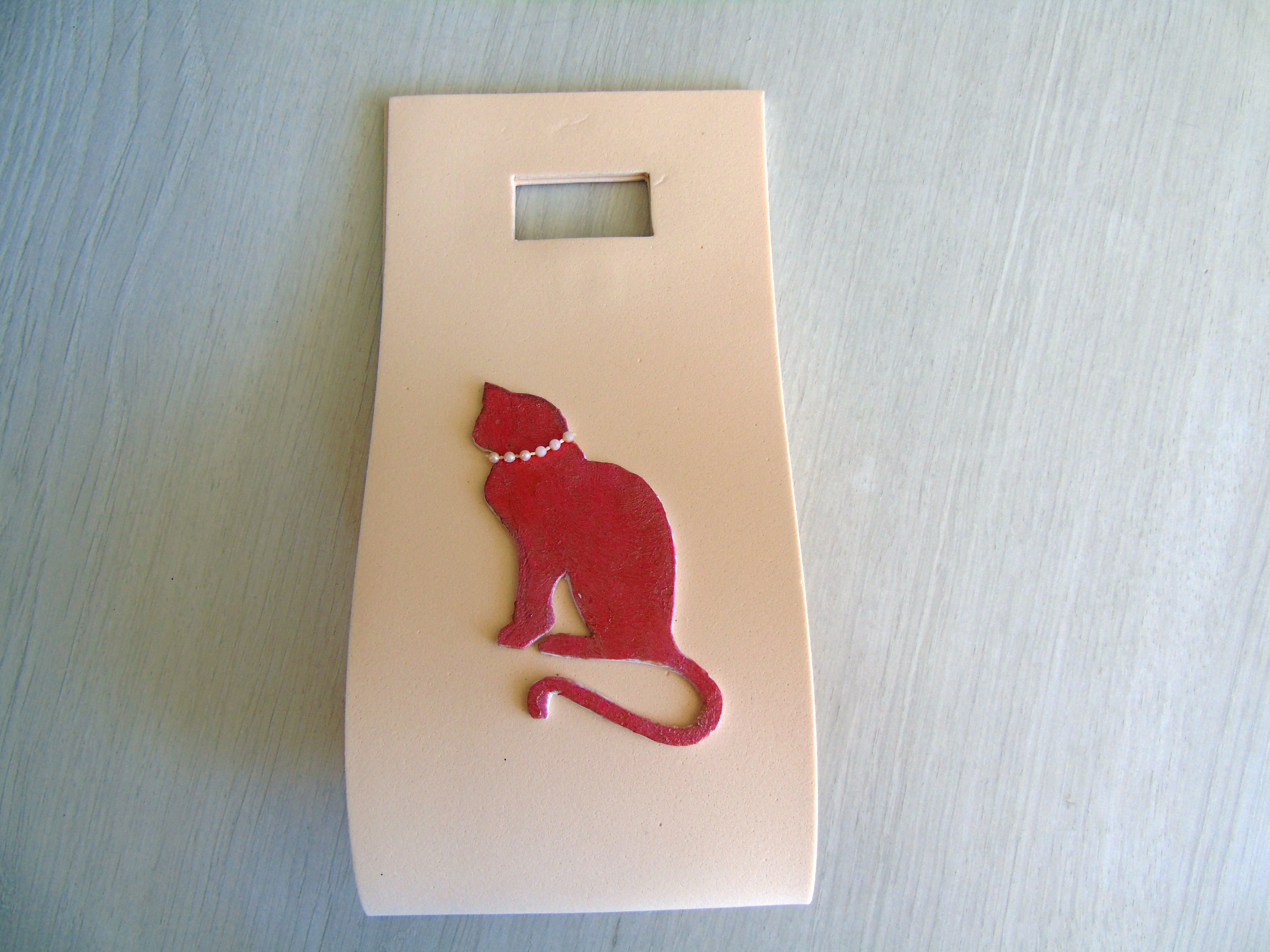 Bag anyjack Cat