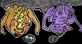 Nature Is Strange Tho: Bats! #3            Will Trade Blood for Makeovers