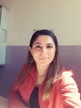 Seher Akşun