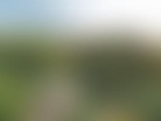 Discover the Unique Allure of Farmhouse B&Bs