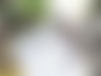 とかげ通信を創刊します