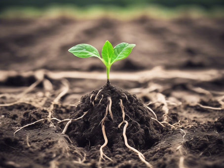 When Calling and Obedience Collide: Trusting the Vision God Gave You