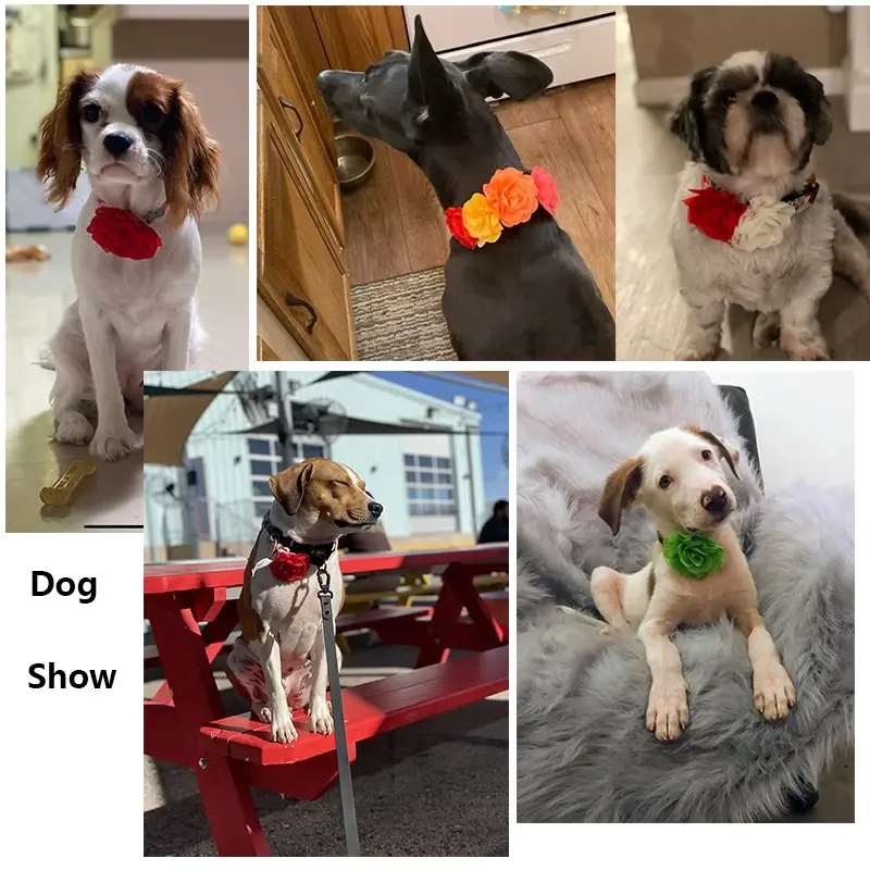 Thumbnail: 100pcs Dog Flower-Collar Dog Bow Tie