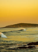 iStock-489124006-sm (2).jpg