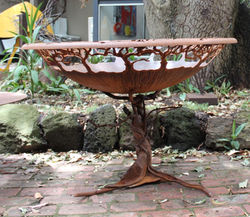Sassafras fire pit 1