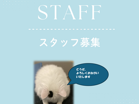 パートスタッフ募集します