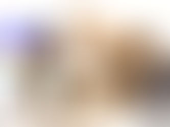 猫の日(出遅れ)