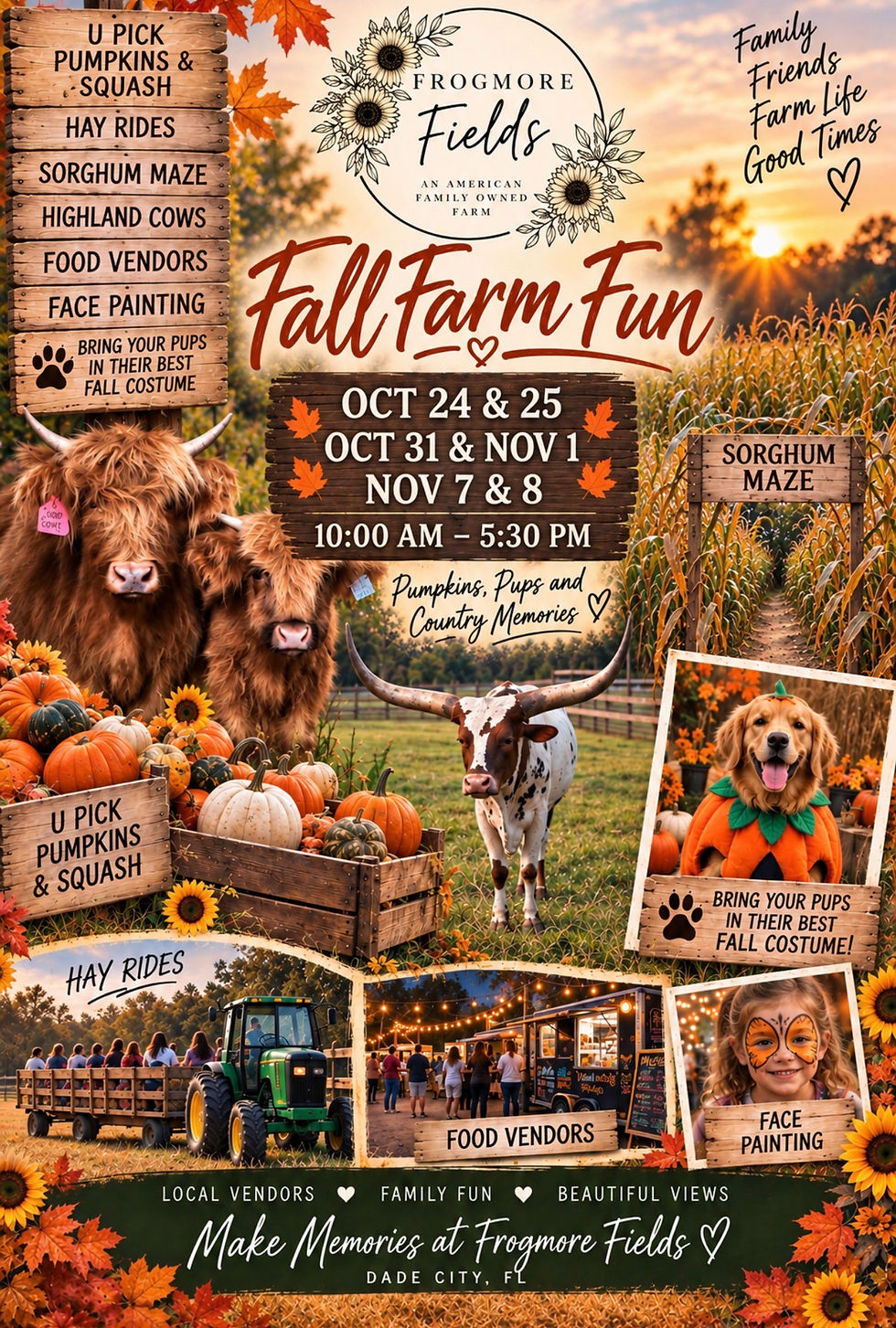 Fall Farm Fun!