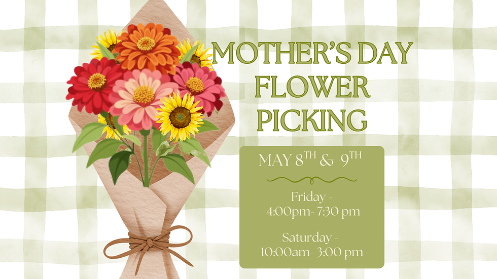 Mother's Day Flower Picking - Saturday
