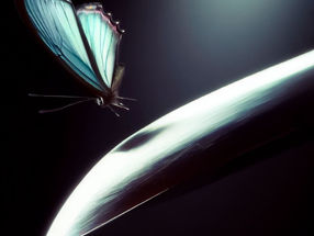 LA MARIPOSA Y EL FILO DEL CUCHILLO. 